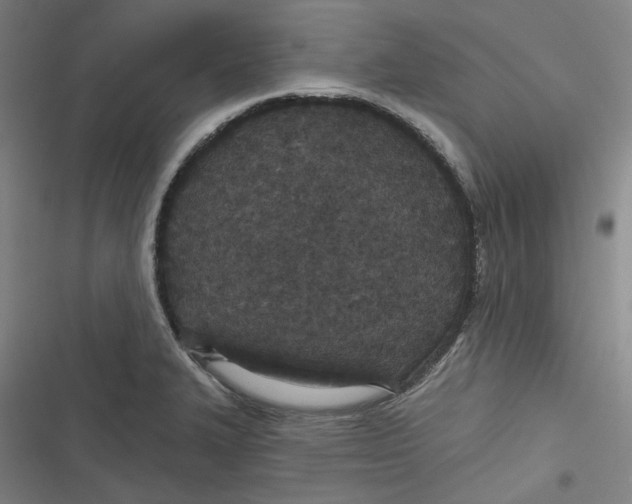 X0000116791327201001081305