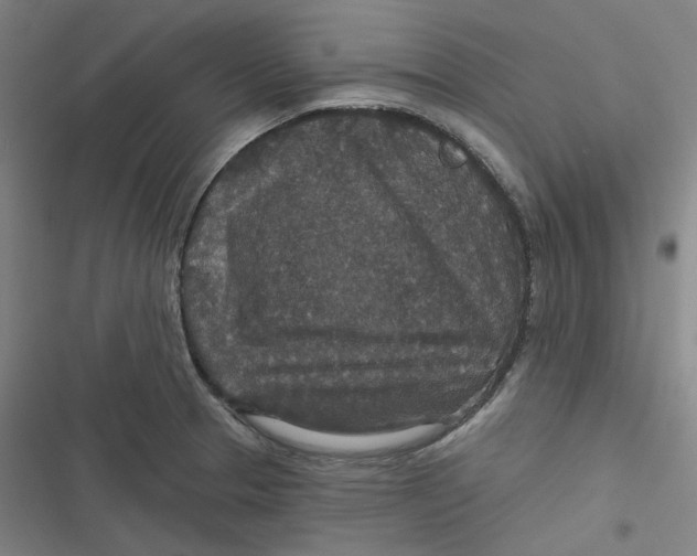 X0000116791329201001081305