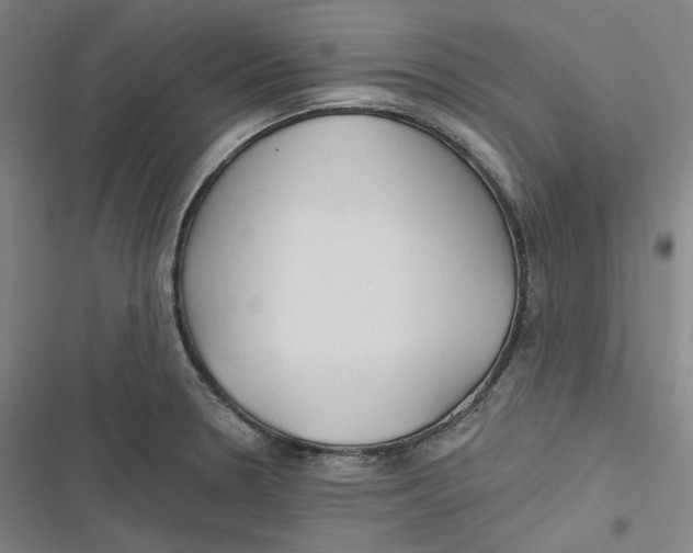 X0000116791330201001081305