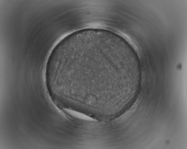 X0000116791331201001081305