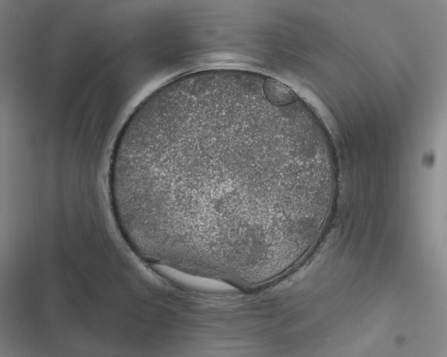 X0000116791333201001081305