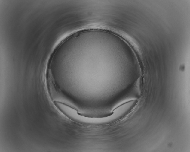 X0000116791334201001081305