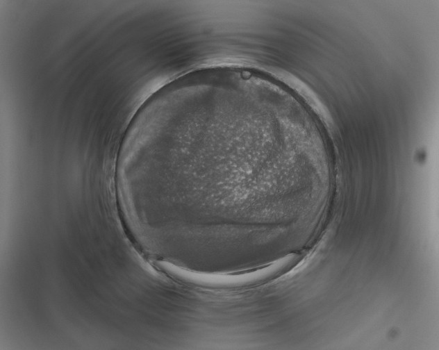 X0000116791337201001081305