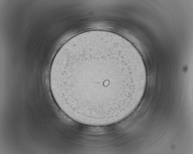 X0000116791338201001081305