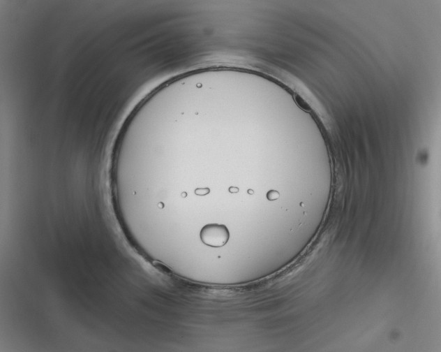 X0000116791339201001081305