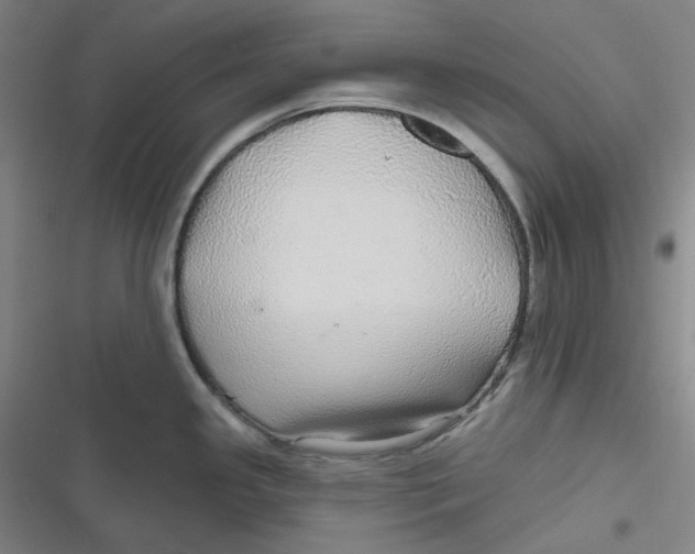 X0000116791341201001081305