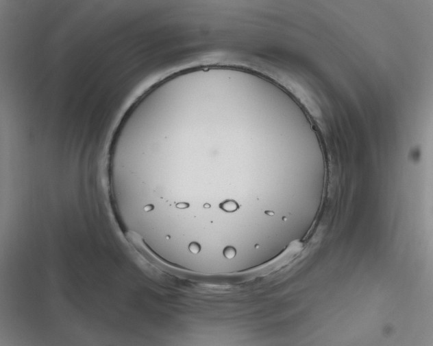 X0000116791342201001081305