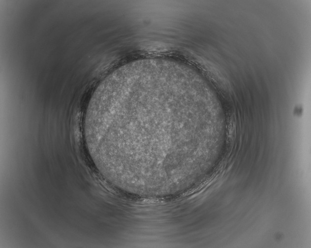 X0000116791346201001081305