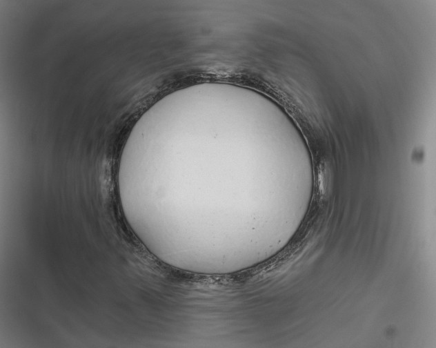 X0000116791347201001081305