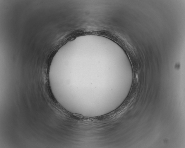 X0000116791348201001081305