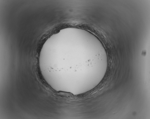 X0000116791349201001081305