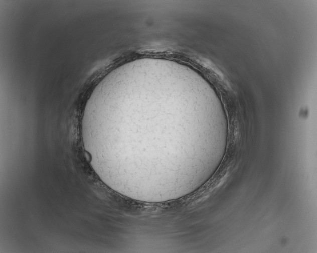 X0000116791350201001081305