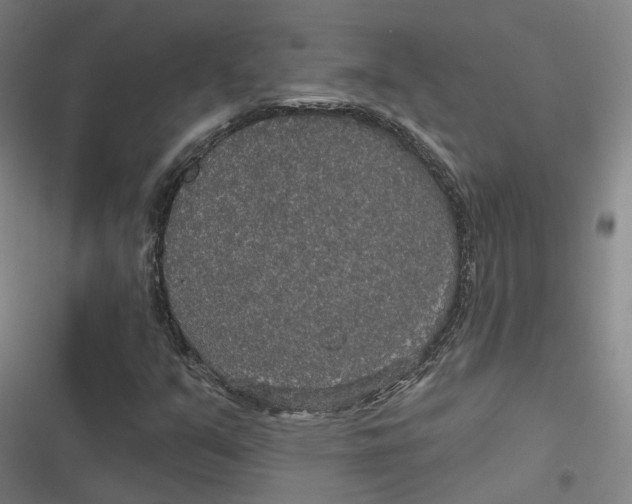 X0000116791351201001081305