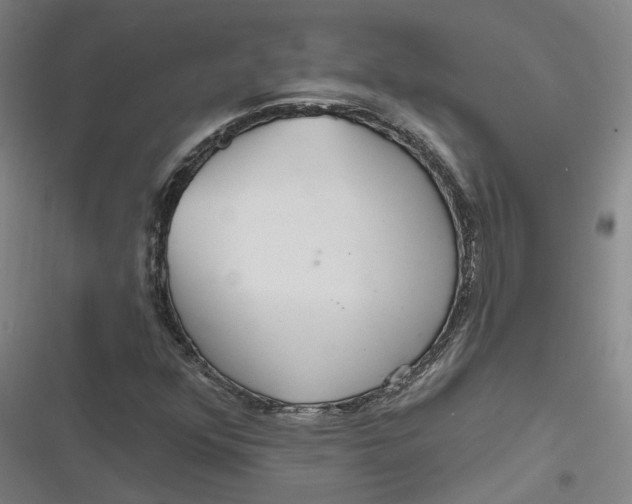 X0000116791352201001081305