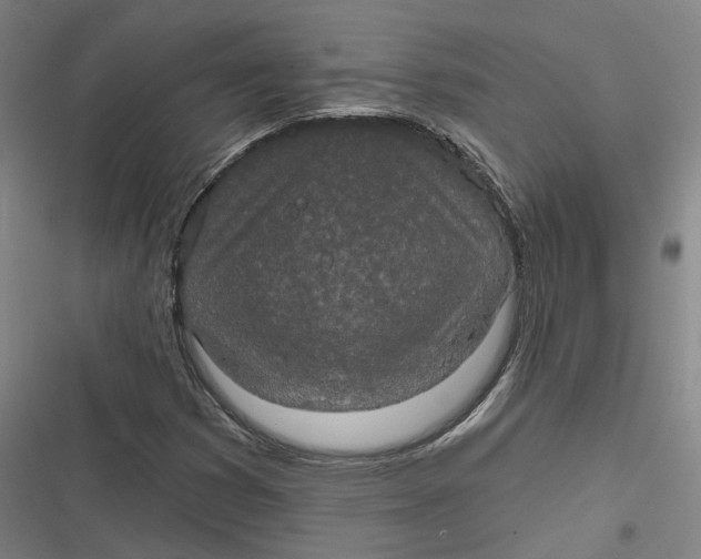 X0000116791353201001081305