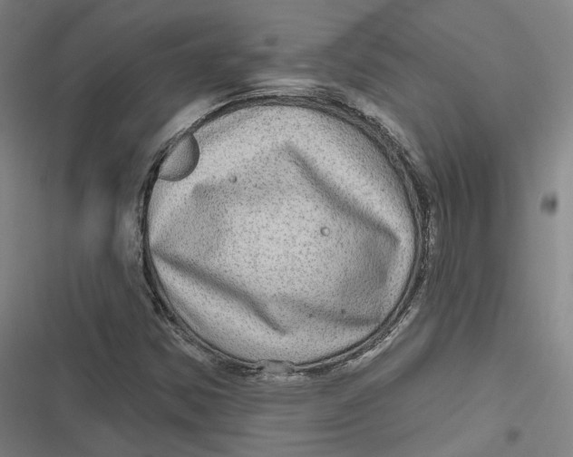 X0000116791354201001081305