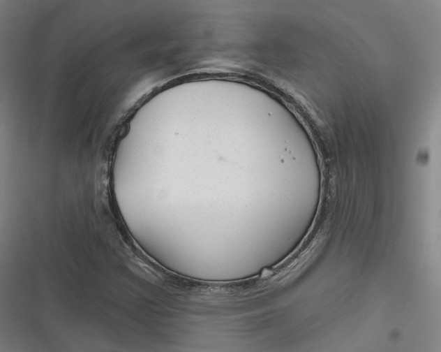 X0000116791355201001081305