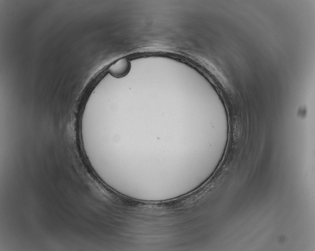 X0000116791356201001081305