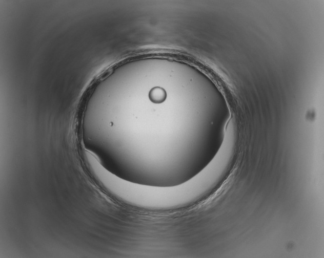 X0000116791357201001081305