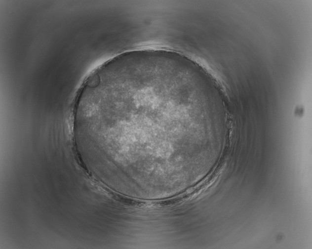 X0000116791358201001081305