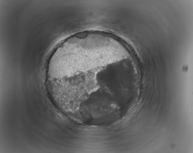 X0000116791359201001081305