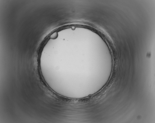 X0000116791360201001081305