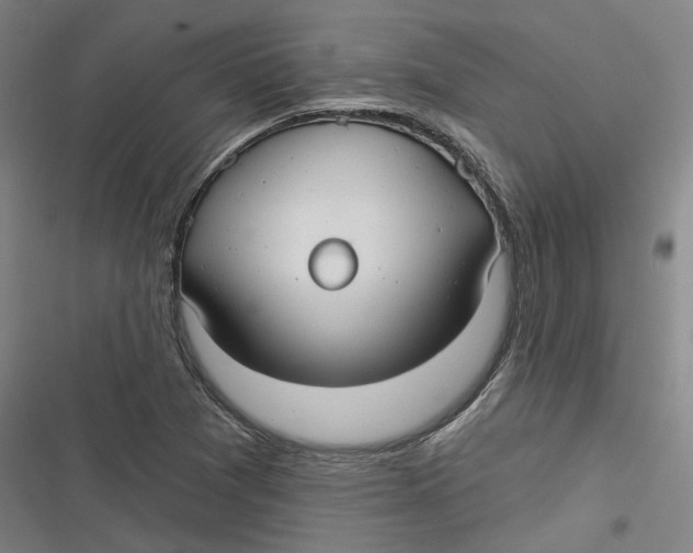 X0000116791361201001081305