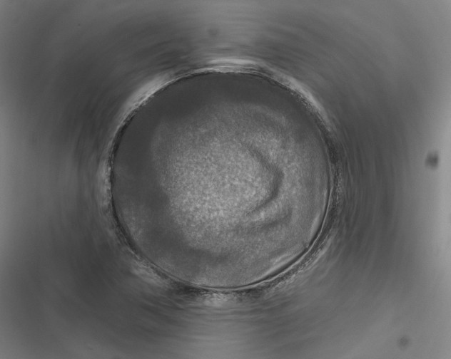 X0000116791362201001081305