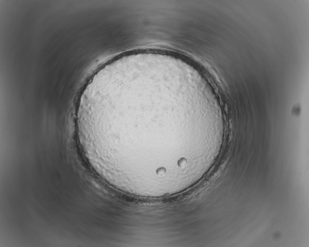 X0000116791363201001081305