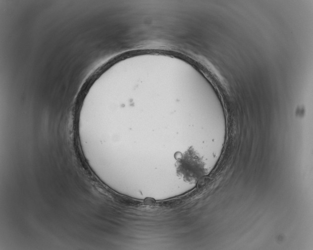 X0000116791364201001081305