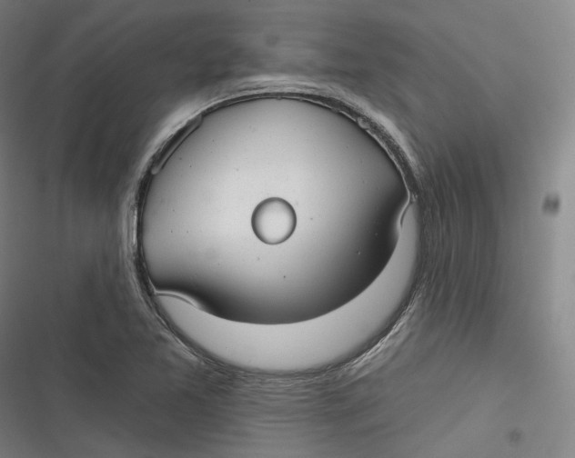 X0000116791365201001081305