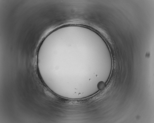 X0000116791366201001081305