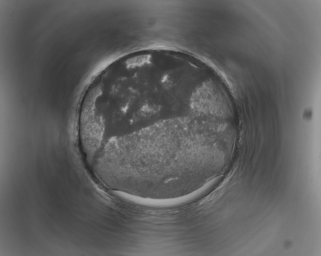 X0000116791367201001081305