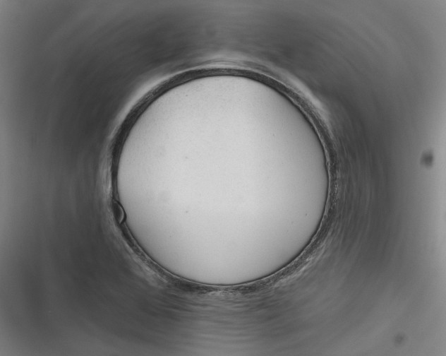 X0000116791368201001081304