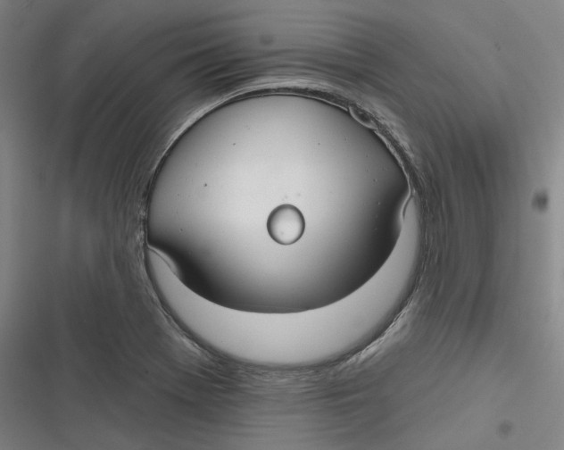 X0000116791369201001081304