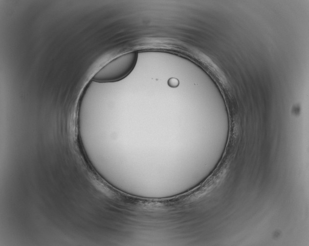 X0000116791370201001081304