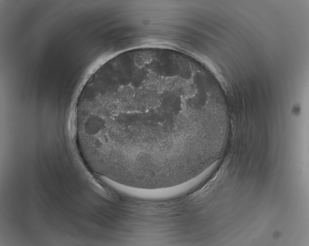 X0000116791371201001081304