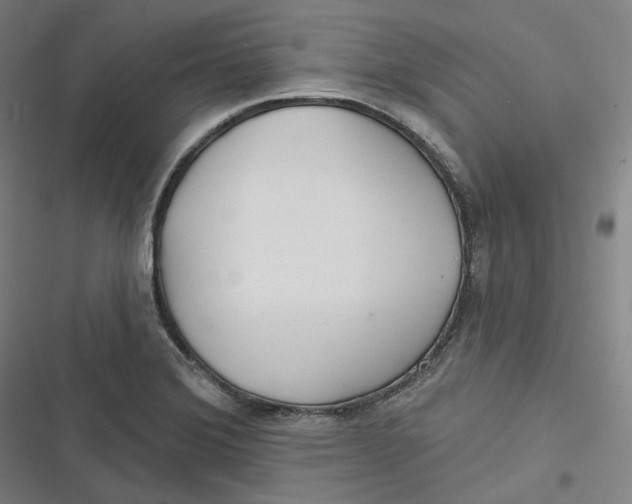 X0000116791372201001081304