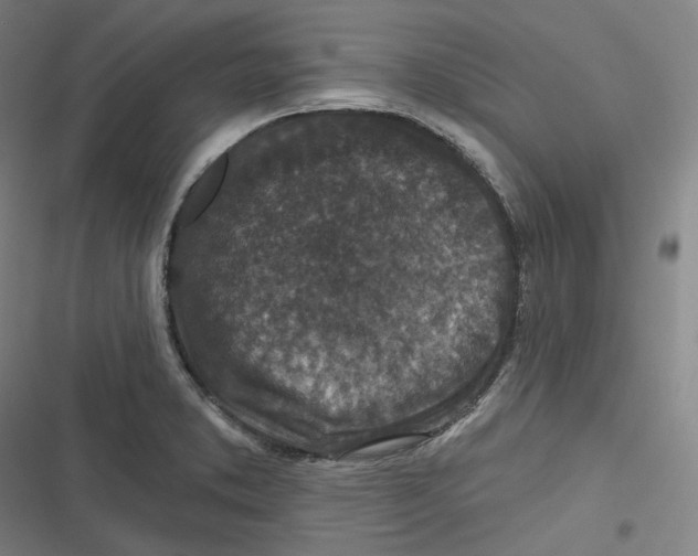 X0000116791373201001081304