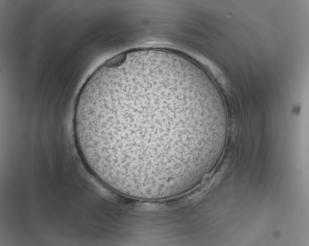 X0000116791374201001081304