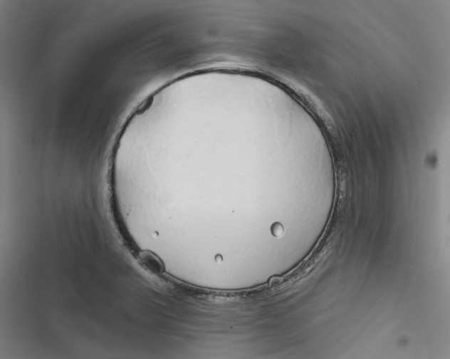 X0000116791375201001081304