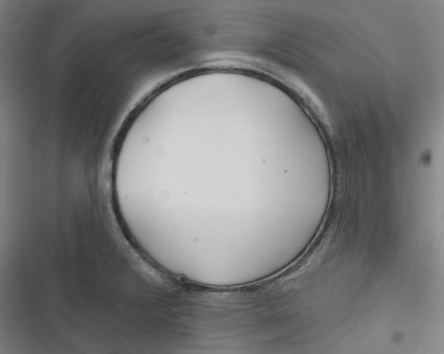 X0000116791376201001081304