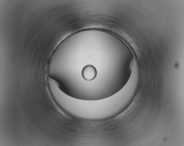 X0000116791377201001081304