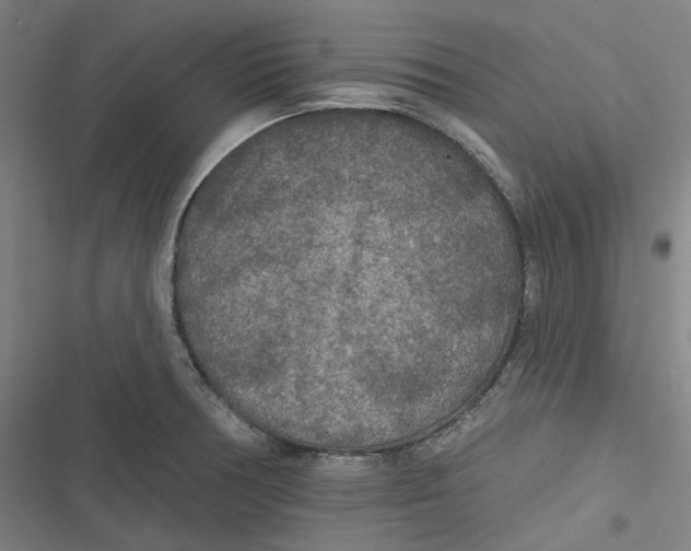 X0000116791378201001081304