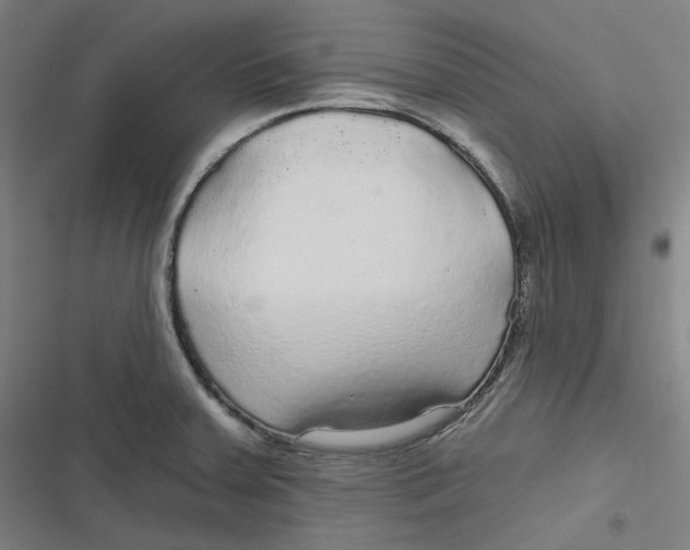 X0000116791379201001081304