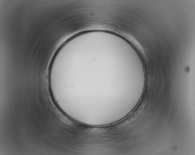 X0000116791380201001081304