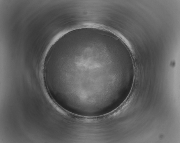 X0000116791381201001081304