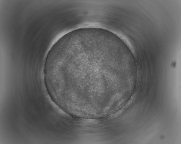 X0000116791382201001081304