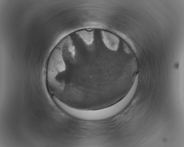 X0000116791383201001081304