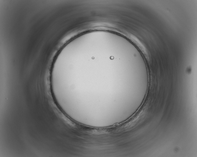 X0000116791384201001081304